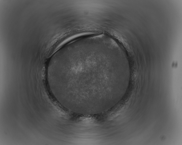 X0000091010689200708021549