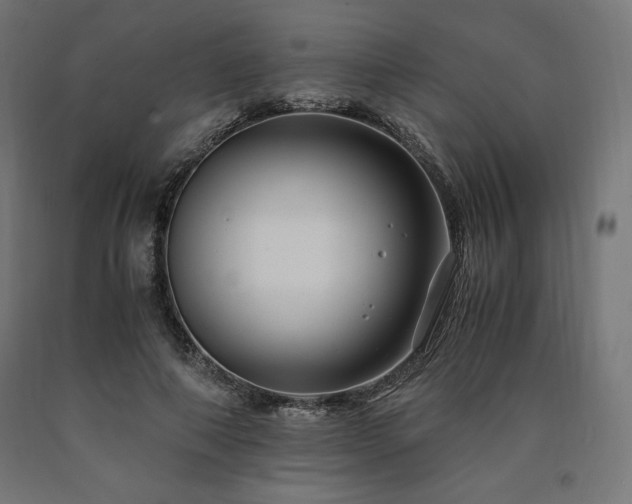 X0000091010690200708021549