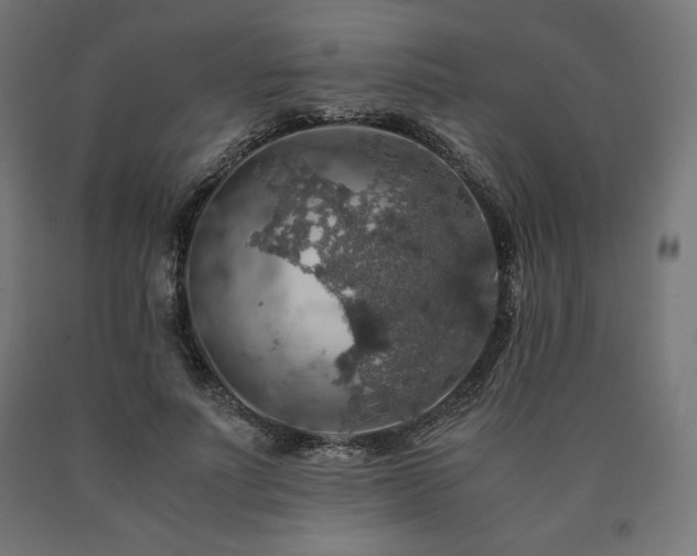 X0000091010691200708021548