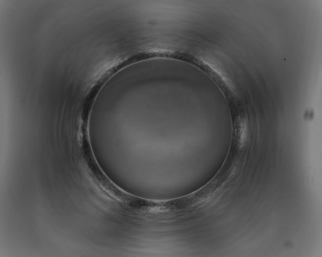 X0000091010692200708021548