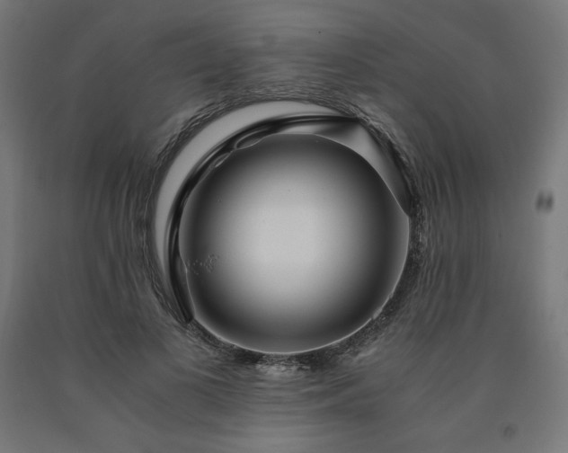 X0000091010693200708021548