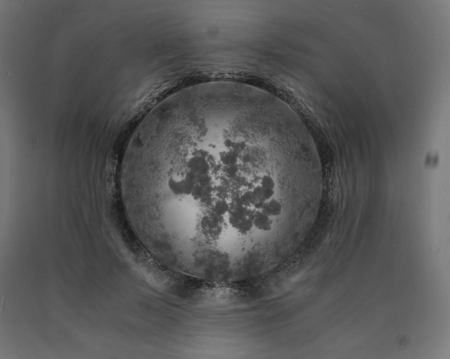X0000091010695200708021548
