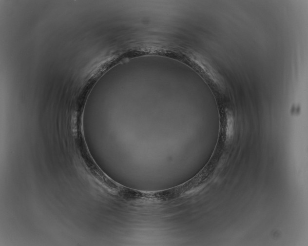 X0000091010696200708021548