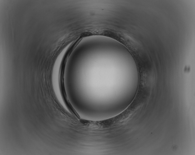 X0000091010697200708021548