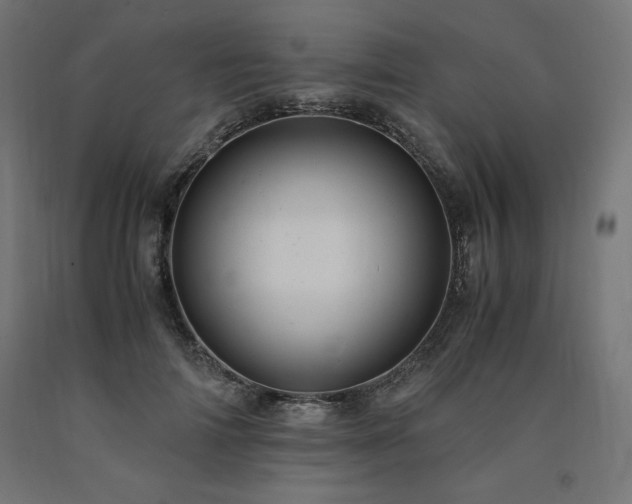 X0000091010698200708021548