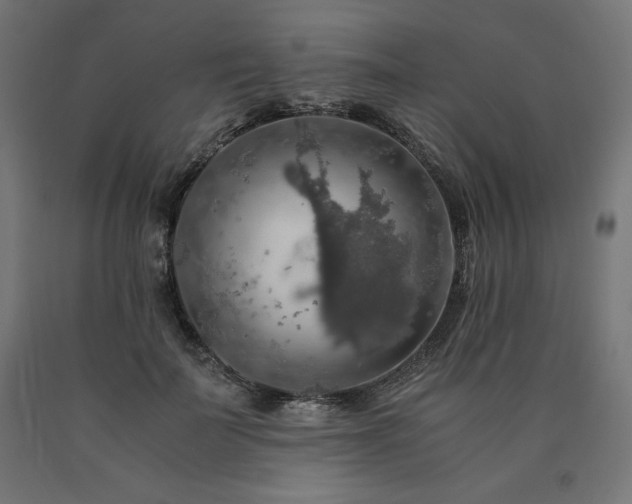 X0000091010699200708021548