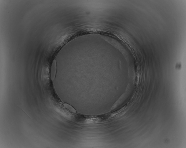 X0000091010700200708021548