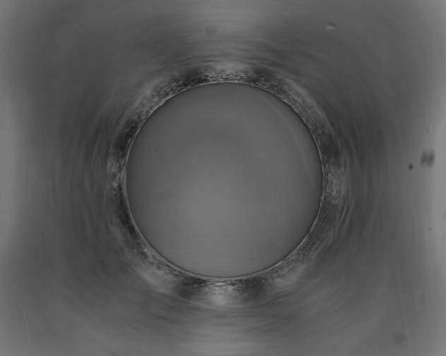 X0000091010701200708021548