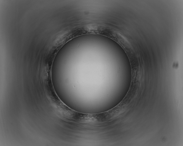 X0000091010702200708021548