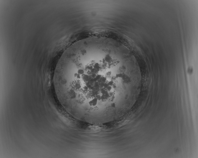 X0000091010703200708021548