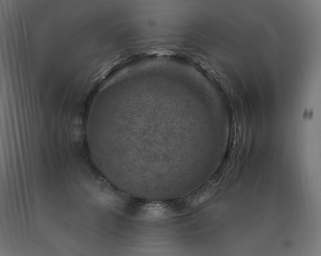 X0000091010704200708021548