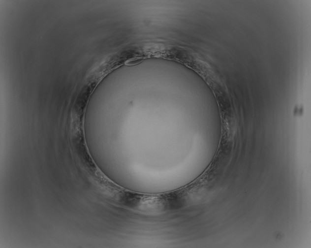 X0000091010705200708021548