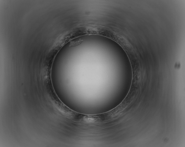 X0000091010706200708021548