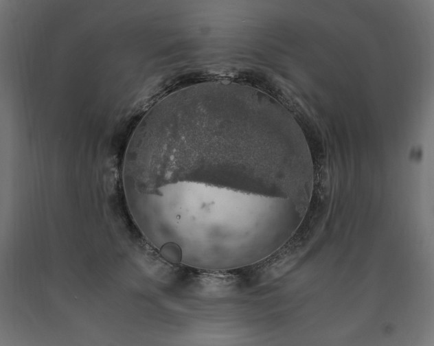X0000091010707200708021548