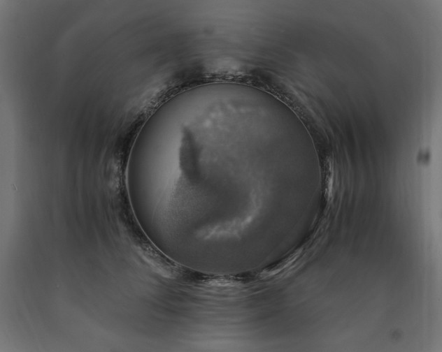 X0000091010708200708021548