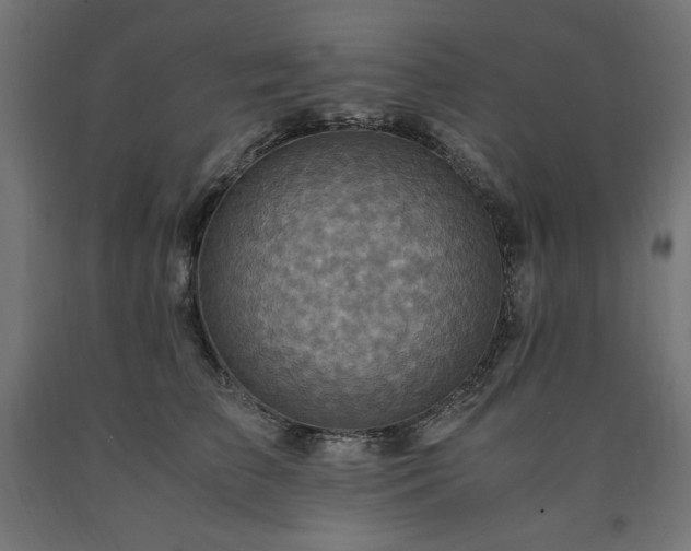 X0000091010709200708021548