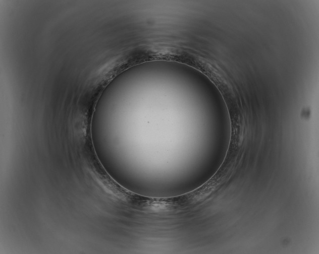 X0000091010710200708021548