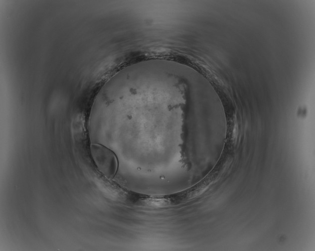X0000091010711200708021548