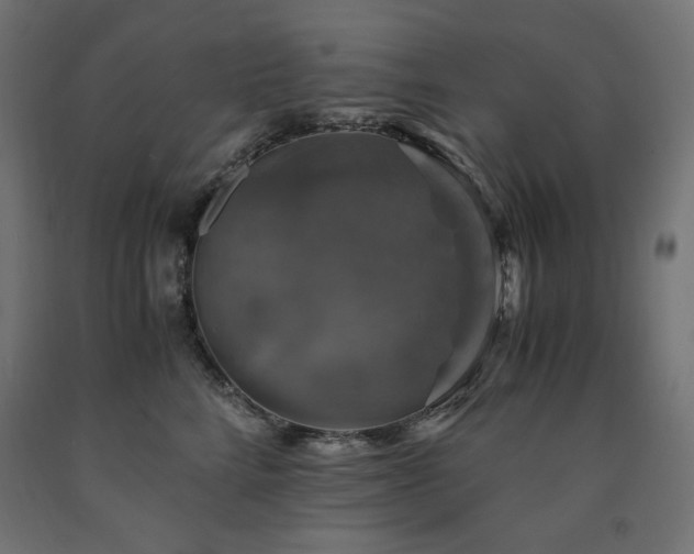 X0000091010712200708021548