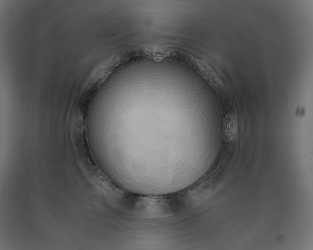 X0000091010713200708021548