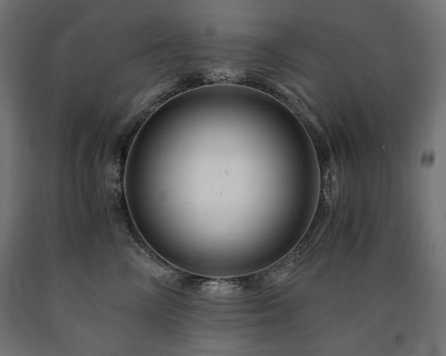 X0000091010714200708021548