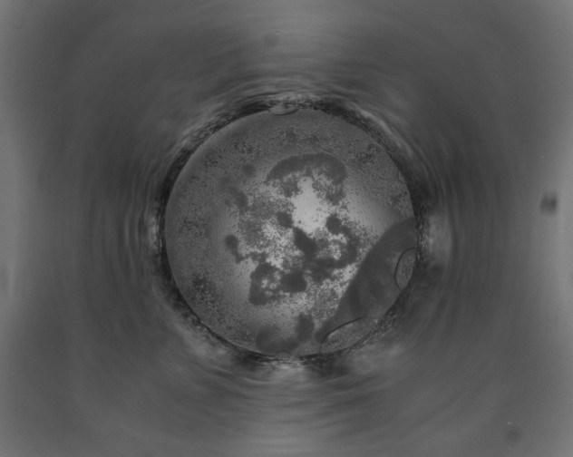 X0000091010715200708021548
