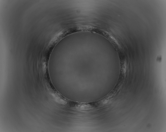 X0000091010716200708021548
