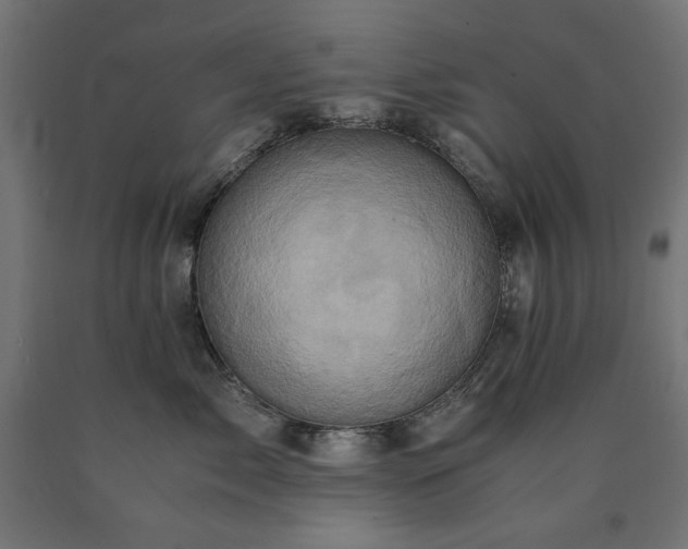 X0000091010717200708021548