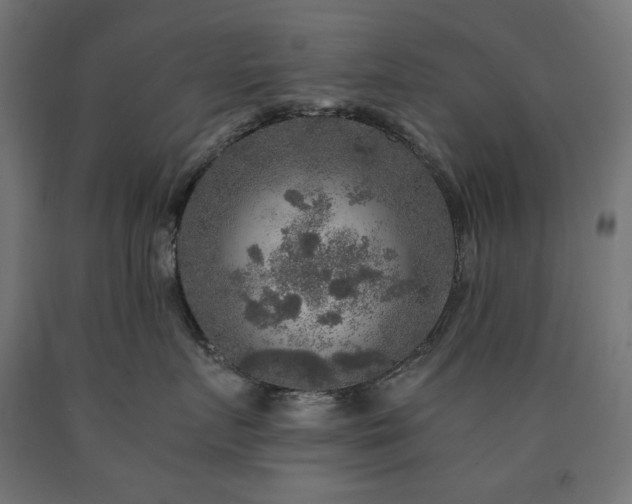 X0000091010719200708021548