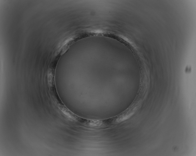 X0000091010720200708021548