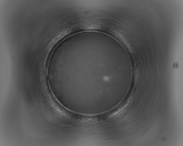 X0000091010721200708021548