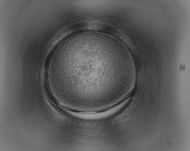 X0000091010722200708021548