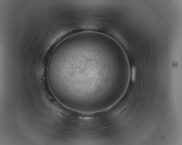 X0000091010723200708021548