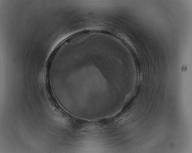 X0000091010724200708021548