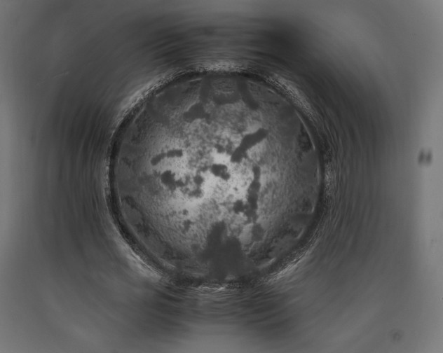X0000091010725200708021548