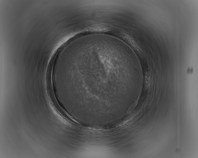 X0000091010726200708021548