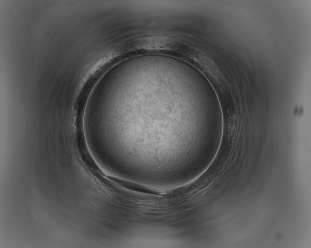 X0000091010727200708021548