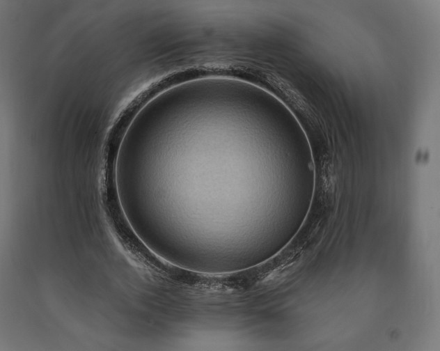 X0000091010728200708021548
