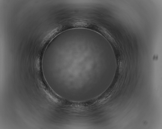 X0000091010729200708021548