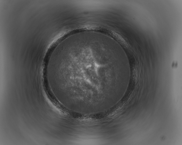 X0000091010730200708021548