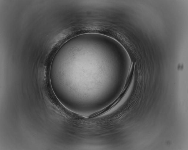 X0000091010731200708021548