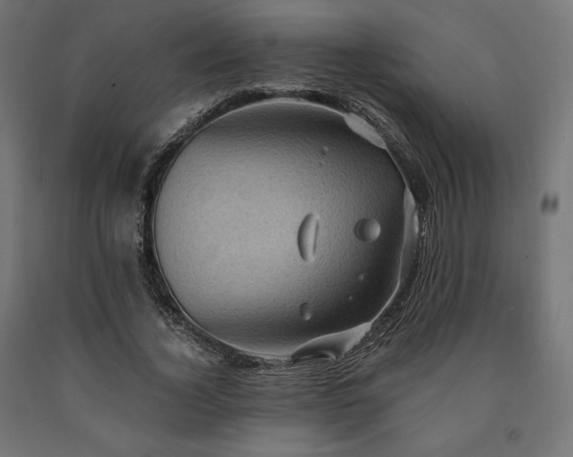 X0000091010732200708021548