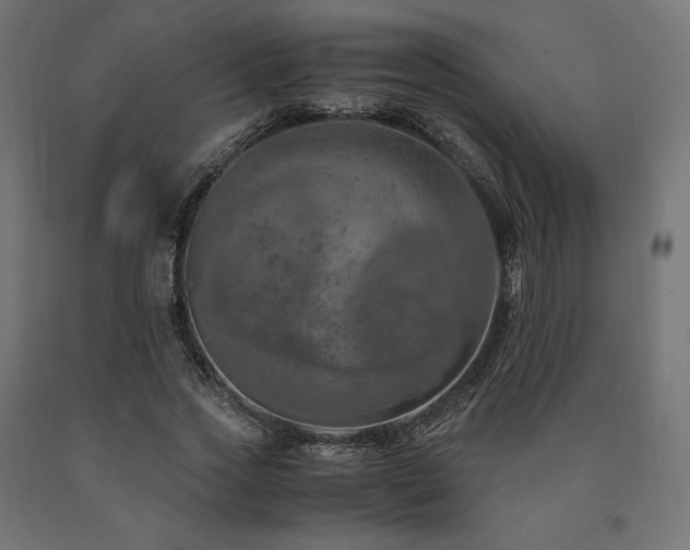 X0000091010733200708021548