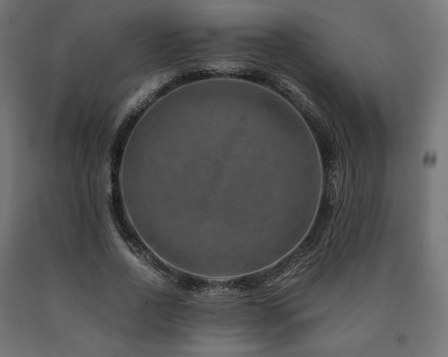 X0000091010734200708021548
