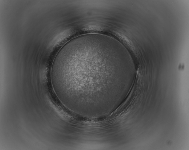 X0000091010735200708021548
