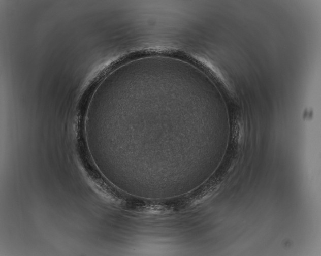 X0000091010736200708021548