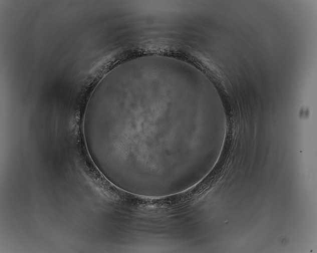 X0000091010737200708021548
