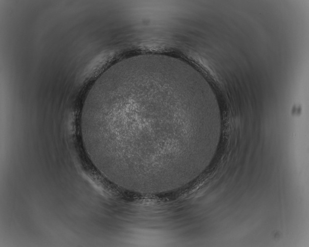 X0000091010738200708021548