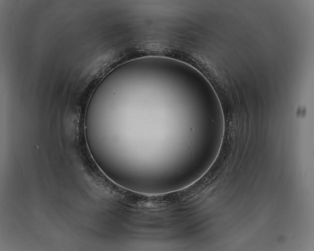 X0000091010739200708021548