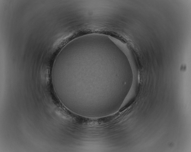 X0000091010740200708021548